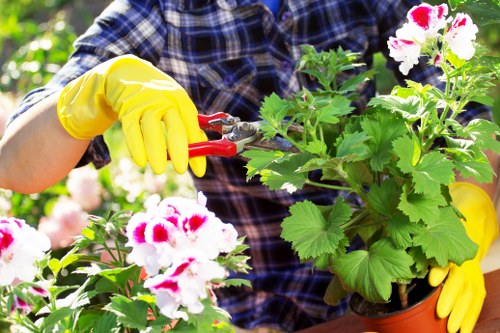 Team of gardeners in Brimsdown preparing a garden project