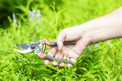 Professional mowing techniques for a healthy Brimsdown lawn