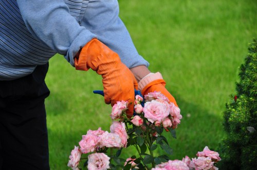Person using a screen reader with a laptop in a garden setting